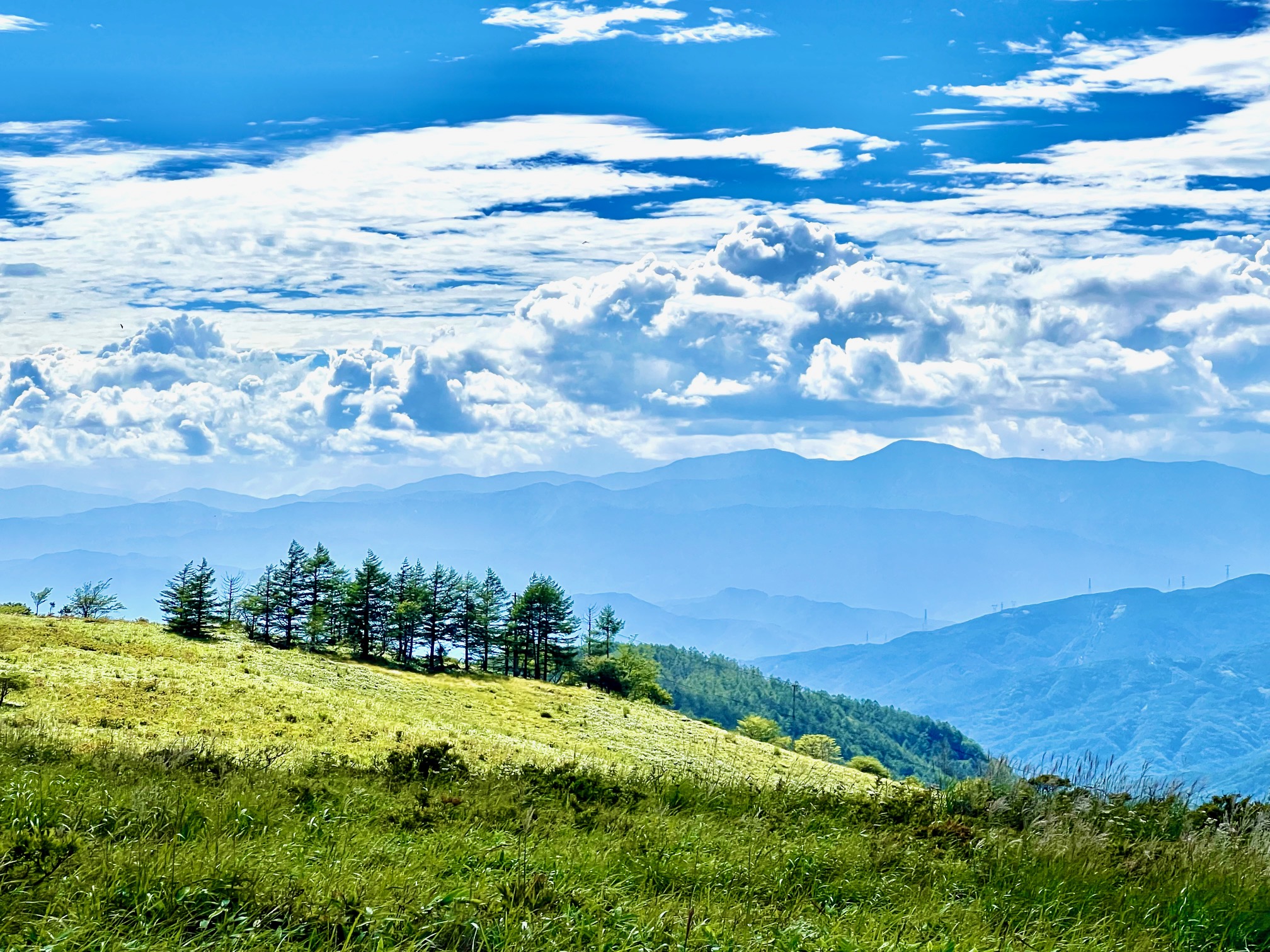 Нагано — Venus Line